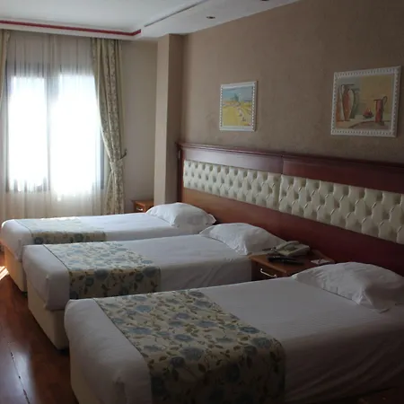 Asur Hotel 3*