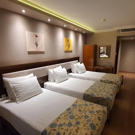 Asur Hotel 3*